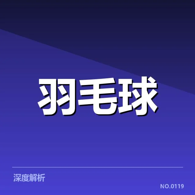 2024年全运会:台北羽毛球队技战术表现如何变化
